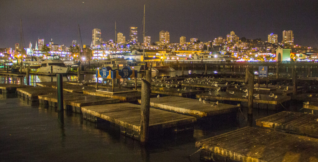 Sea Lions on Pier 39