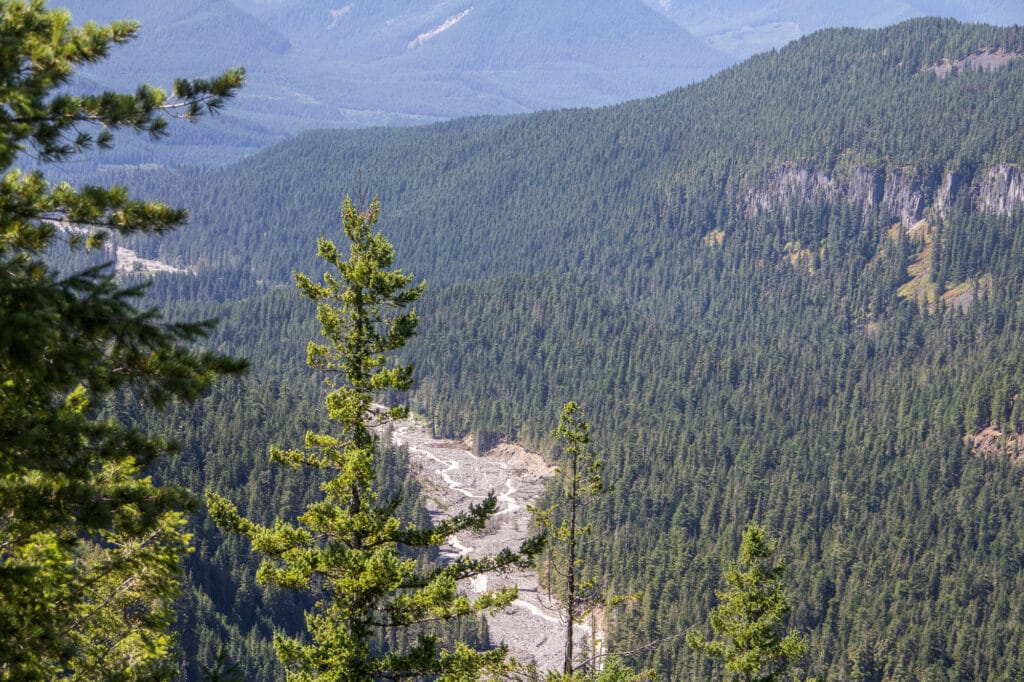 Nisqually River Valley