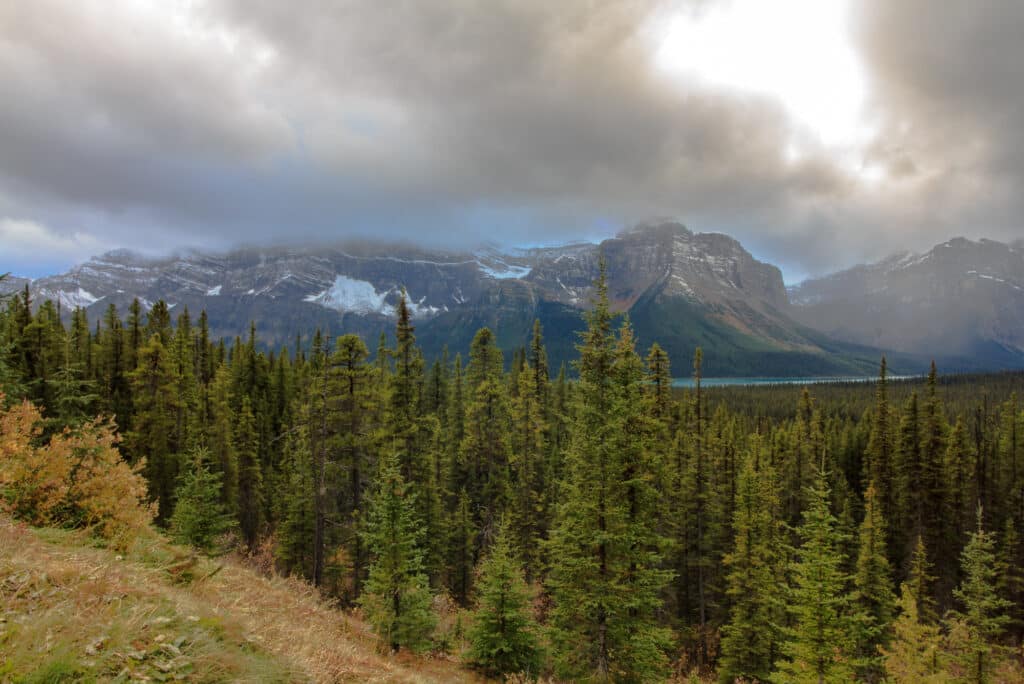 Near Hector Lake