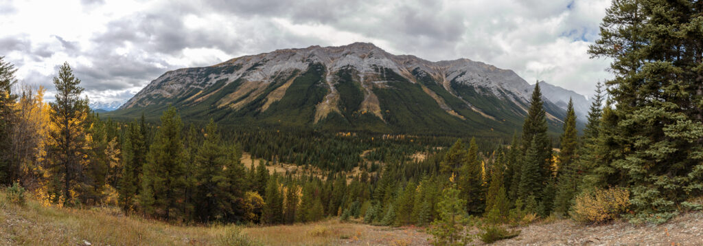 Mount Kent Pano