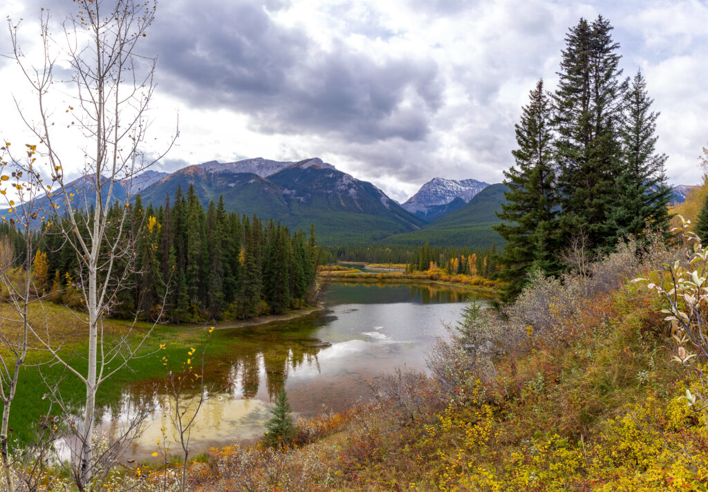 Muleshoe Lake/Bend in Banff National Park