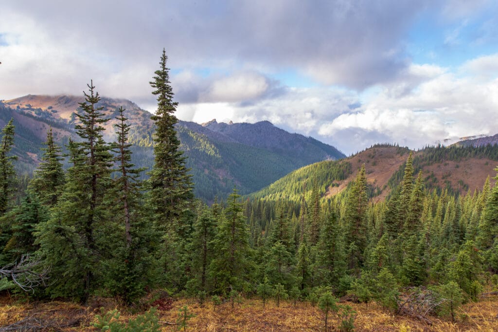 Hurricane Ridge Road