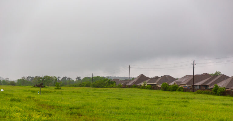 Eastern Texas Jungle Bust