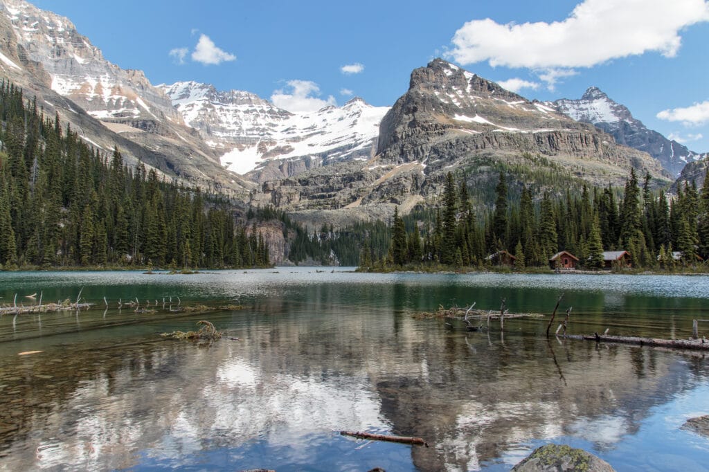 First view of Lake O'Hara to those arriving by bus.