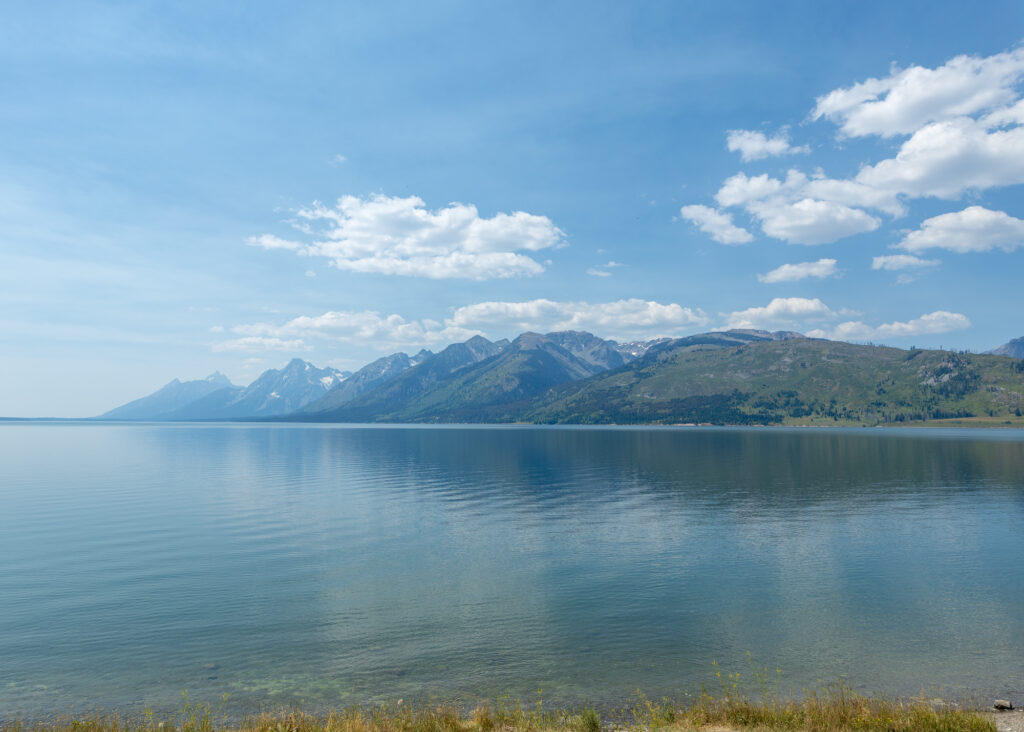 Jackson Lake Overlook